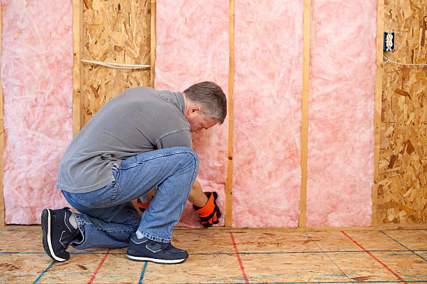 Best Commercial Insulation in Ellsworth, WI